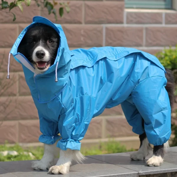 Large Dog Raincoat