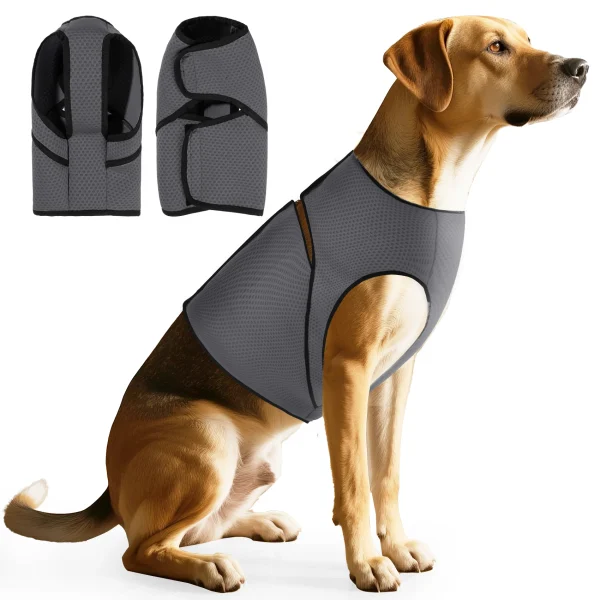 Dog Anxiety Jacket