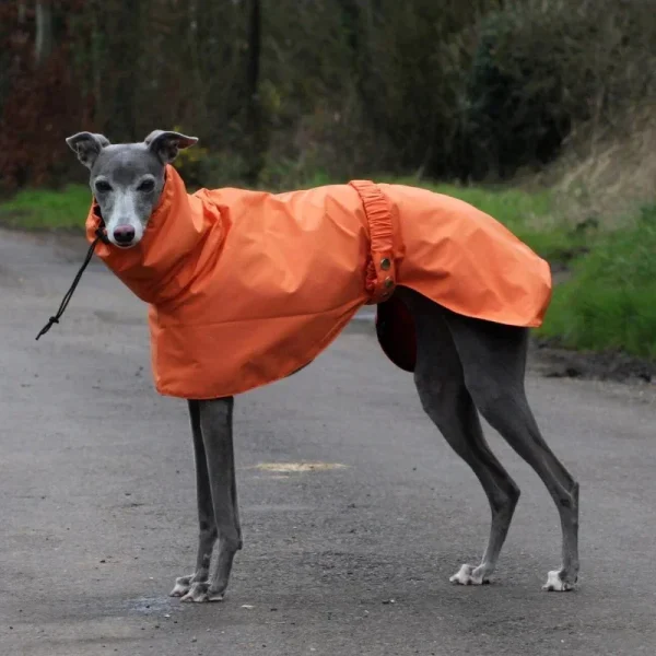Large Dog Raincoat