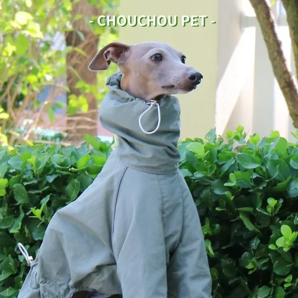 Greyhound, Whippet Raincoat