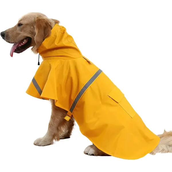 Hooded Raincoat