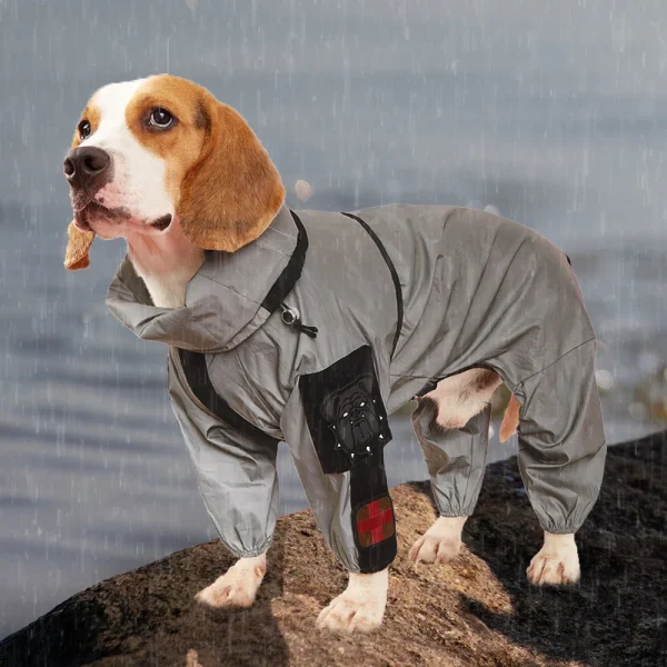 Raincoat for medium to large dogs