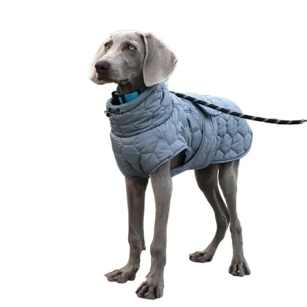 Warm Winter Dog Clothes