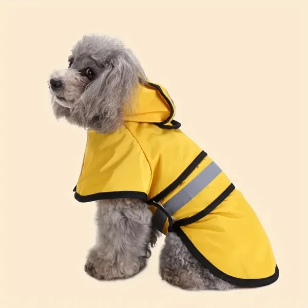 Keep Your furry friend Dry